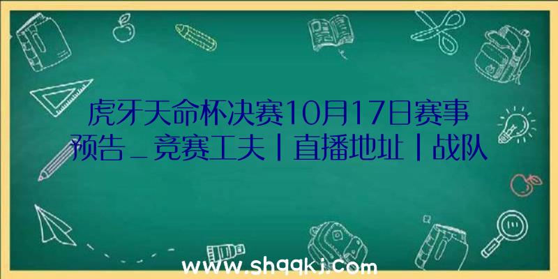 虎牙天命杯决赛10月17日赛事预告_竞赛工夫|直播地址|战队一览